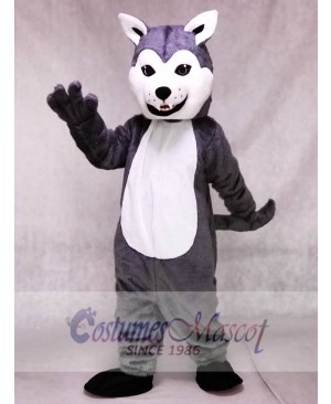 New Lovely Friendly Husky Dog Mascot Costume