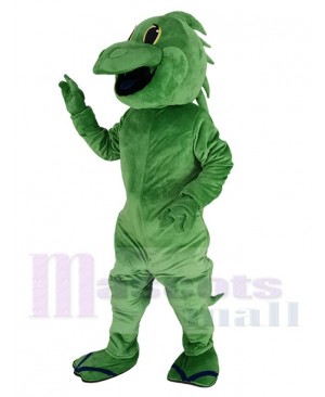 Lizard mascot costume