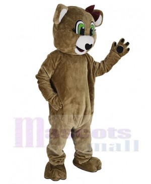 Bear mascot costume