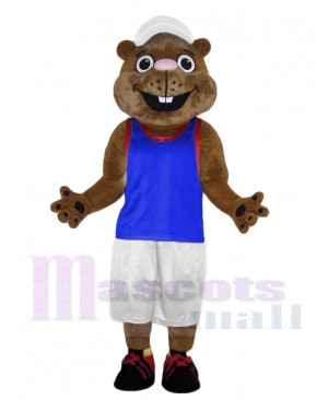 Gopher mascot costume