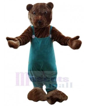 Bear mascot costume