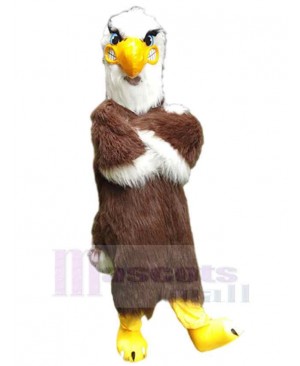 Eagle Hawk mascot costume