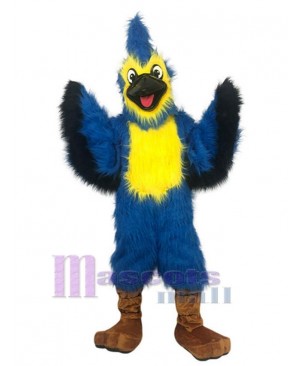 Eagle mascot costume