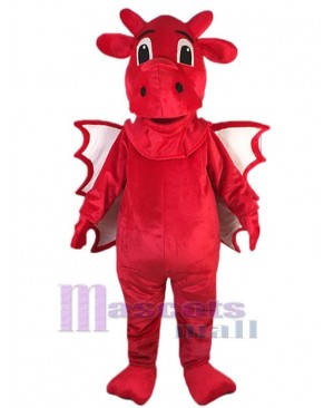 Dragon mascot costume