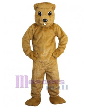 Gopher mascot costume