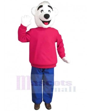 Bear mascot costume