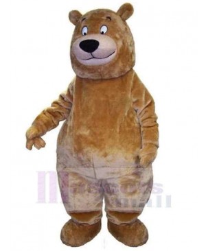 Bear mascot costume