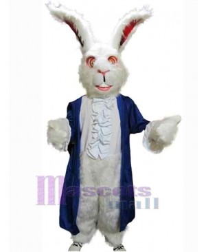 Easter Bunny Rabbit mascot costume