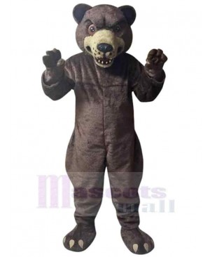 Bear mascot costume