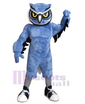 Owl mascot costume