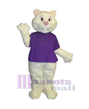 Groundhog mascot costume