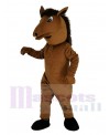 Pony Horse mascot costume