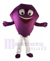 Diamond mascot costume