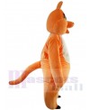 Kangaroo mascot costume