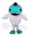 Dolphin mascot costume