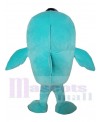 Dolphin mascot costume