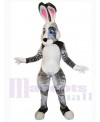 Easter Bunny Rabbit mascot costume