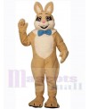 Easter Bunny Rabbit mascot costume