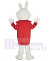 Wendell Rabbit mascot costume