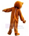 Fox mascot costume