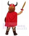 Viking Pirate mascot costume