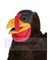 Turkey mascot costume