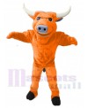 Bull mascot costume