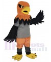 Hawk mascot costume