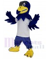 Falcon mascot costume