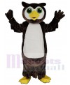 Owl mascot costume