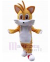 Cat mascot costume