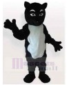 Cat mascot costume