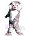 Wolf mascot costume