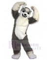 Wolf mascot costume