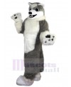 Wolf mascot costume