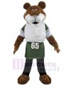 Tiger mascot costume