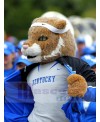 Tiger mascot costume