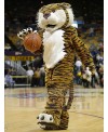 Tiger mascot costume