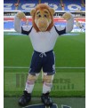 Lion mascot costume