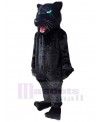 Panther mascot costume