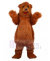 Bear mascot costume