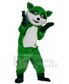 Raccoon mascot costume