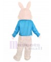 Rabbit mascot costume