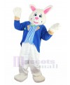 Rabbit mascot costume