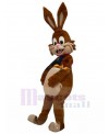 Rabbit mascot costume