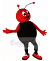 Custom Order Red Bug with Black Belly Mascot Costumes Insect