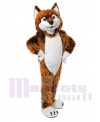 Wolf mascot costume