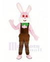 Easter Pink Robbie Rabbit Mascot Costume