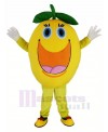 Cute Round Orange Mascot Costume