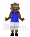 Gopher mascot costume